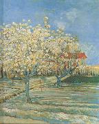 Vincent Van Gogh Orchard in Blossom (nn04) Spain oil painting reproduction